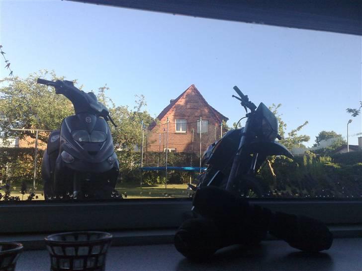 Gilera stalker byttet billede 10