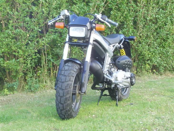 Suzuki Street Magic  billede 2