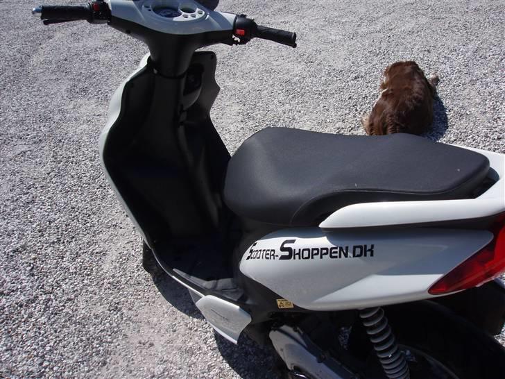 Yamaha Jog R byttet til senda billede 5