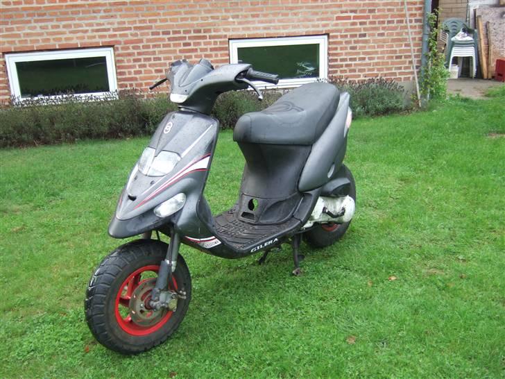 Gilera stalker byttet billede 12