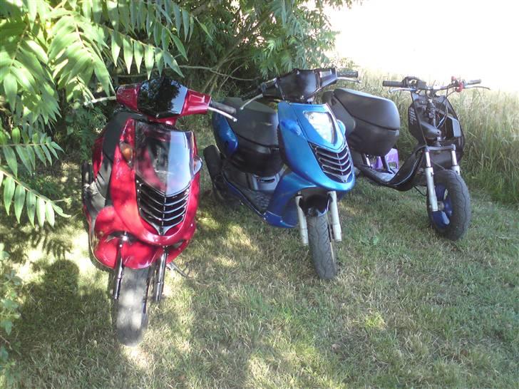 Aprilia Sonic Evo lc. Solgt! - Alle mine dejlige maskiner :) Evo lc, Standard, Evo ac <3 billede 6