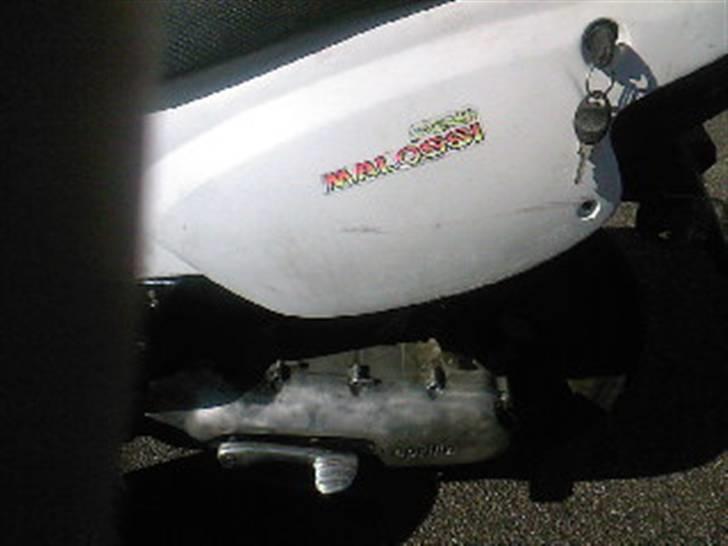 Aprilia Rally (byttet) billede 5