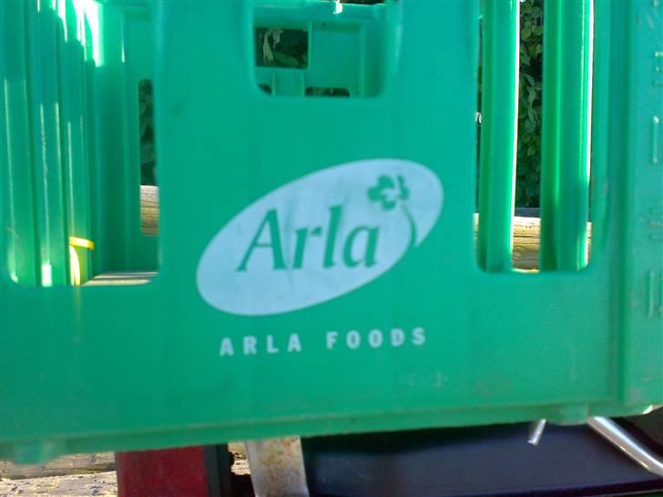 Suzuki fz50 byttet til hot50 billede 3