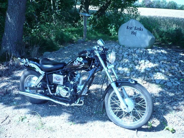 Regal Raptor  billede 2