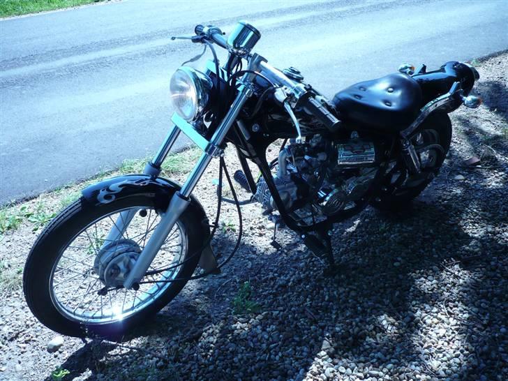 Regal Raptor  billede 3