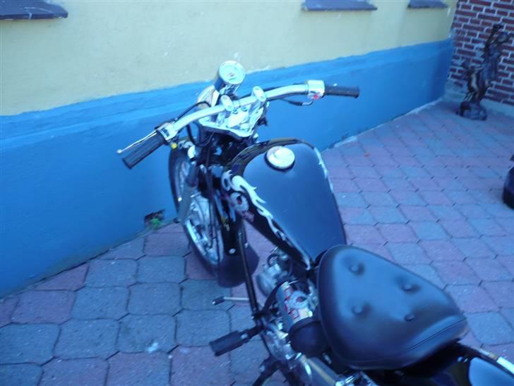 Regal Raptor  billede 4