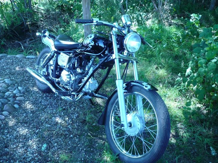 Regal Raptor  billede 9