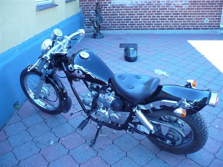 Regal Raptor  billede 13