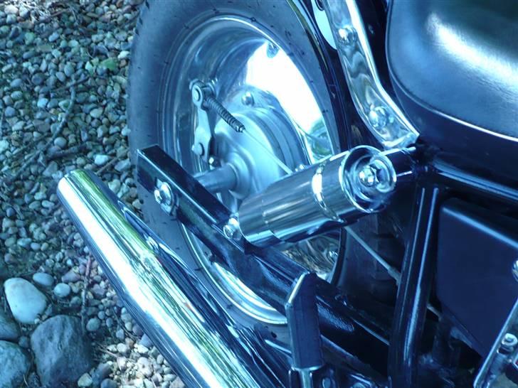 Regal Raptor  billede 16