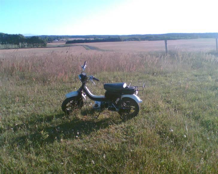 Suzuki fz 50 (byttet) billede 20