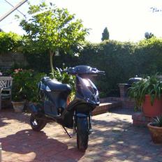 Piaggio nrg stjålet:(