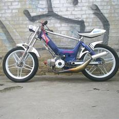 Polini Puch Maxi  <Byttet>