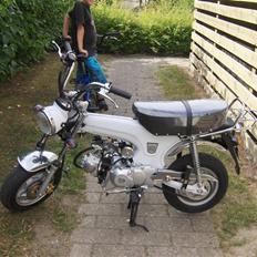 Skyteam dax 08 SOLGT 