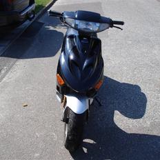 Adly silverfox   **Solgt**