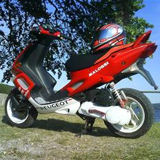 Peugeot Speedfight 2 **SOLGT**