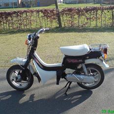 Suzuki Fz50 (SOLGT)
