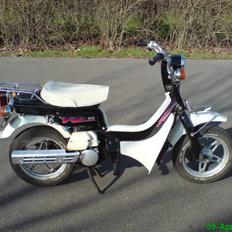 Suzuki Fz50 (SOLGT)