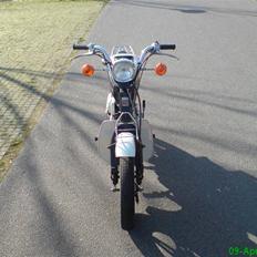 Suzuki Fz50 (SOLGT)