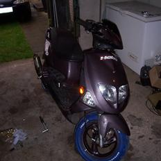 PGO Dr Big Perlemor *SoLGT*