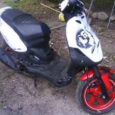 PGO PMX sport