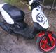 PGO PMX sport