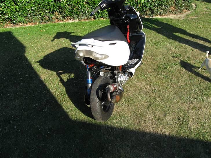 Aprilia sonic billede 4