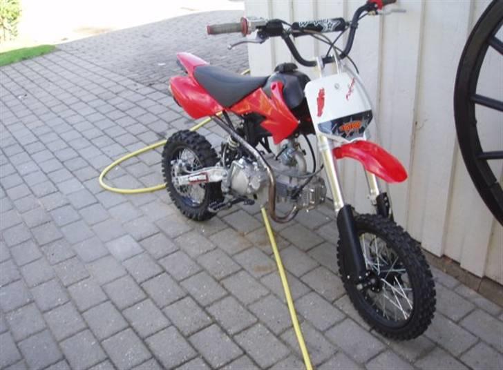 MiniBike Pitpro pro lite billede 6
