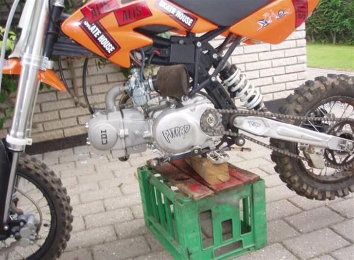 MiniBike Pitpro pro lite billede 10