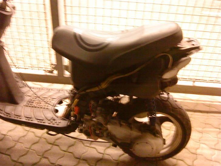 Gilera stalker byttet billede 2