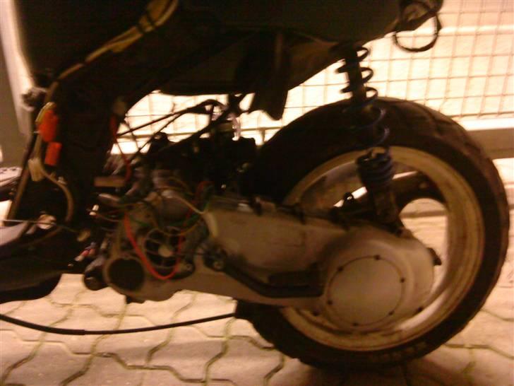 Gilera stalker byttet billede 3