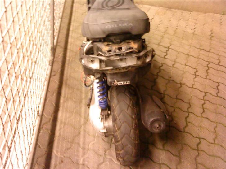 Gilera stalker byttet billede 4