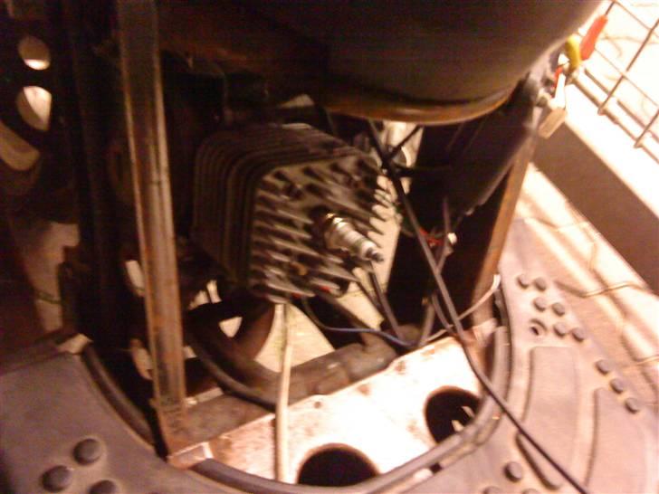 Gilera stalker byttet billede 5