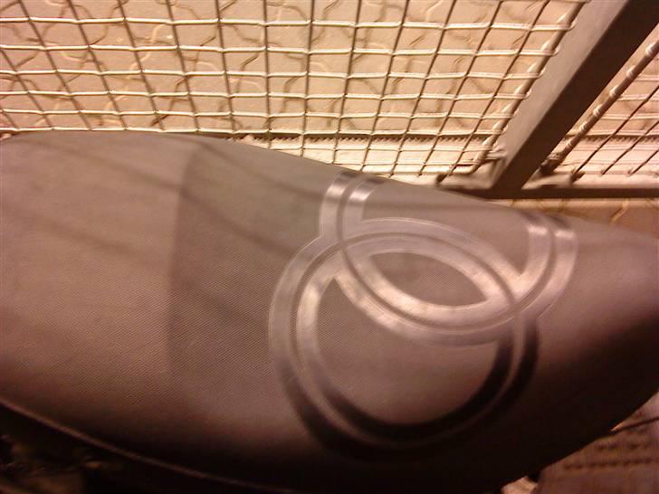 Gilera stalker byttet billede 6