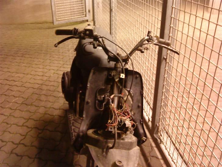 Gilera stalker byttet billede 8