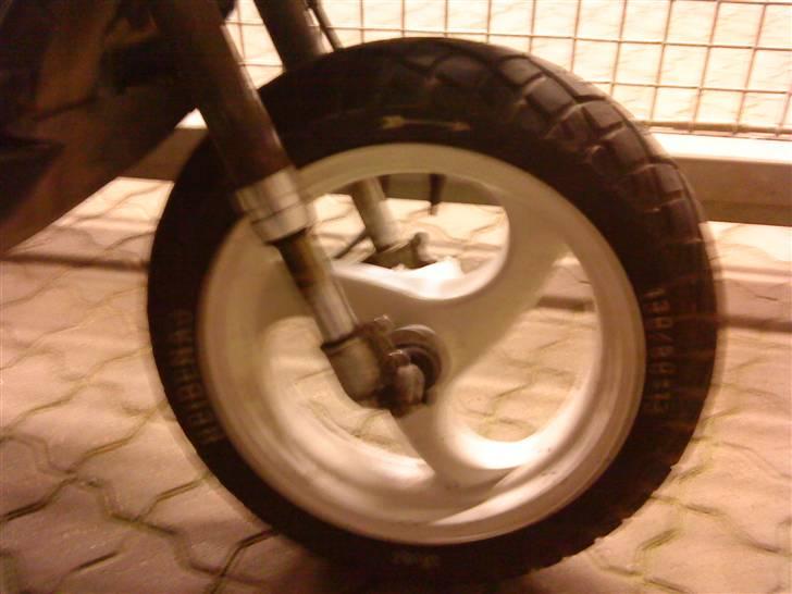 Gilera stalker byttet billede 9