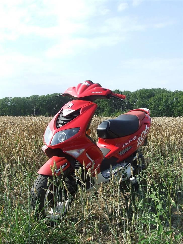 Peugeot Speedfight 2 - 30 Juli 2008 billede 17