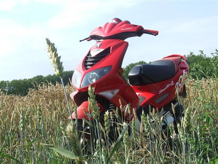 Peugeot Speedfight 2 - 30 Juli 2008 billede 18