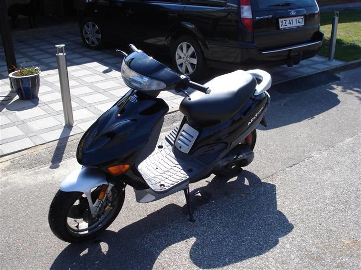 Adly silverfox   **Solgt** billede 1