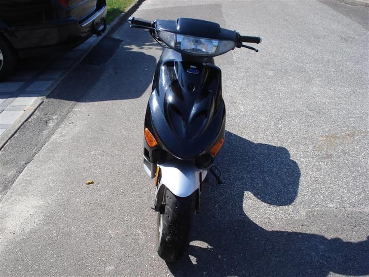 Adly silverfox   **Solgt** billede 2