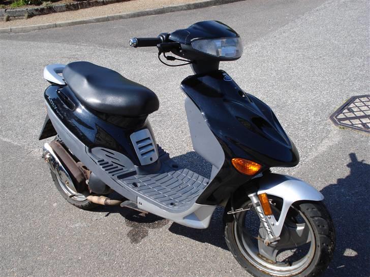 Adly silverfox   **Solgt** billede 3