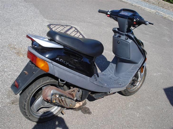 Adly silverfox   **Solgt** billede 4