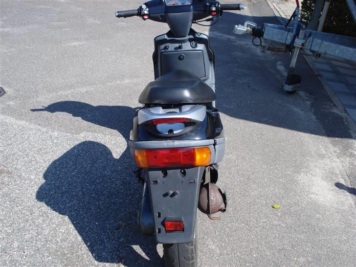 Adly silverfox   **Solgt** billede 5