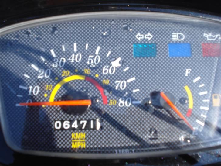 Adly silverfox   **Solgt** billede 6