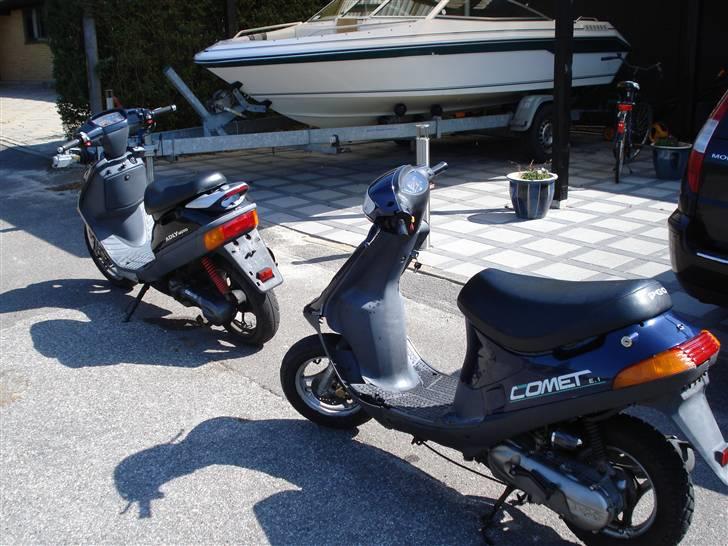 Adly silverfox   **Solgt** billede 7