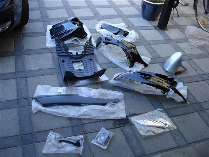 Adly silverfox   **Solgt** billede 8