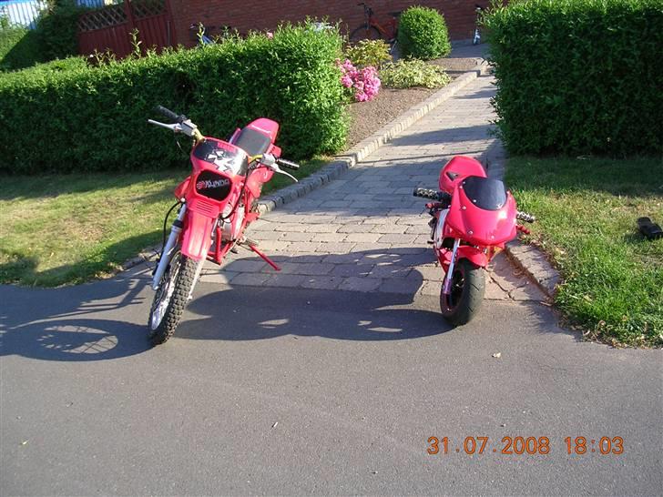 MiniBike Kopi    billede 8