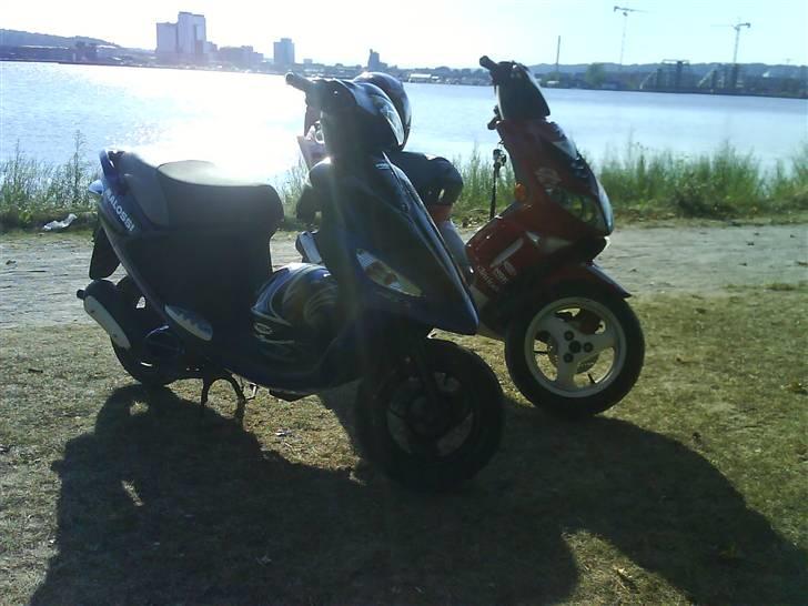 Peugeot Speedfight 2 **SOLGT** - Jah, de er sku smukke hva  billede 10