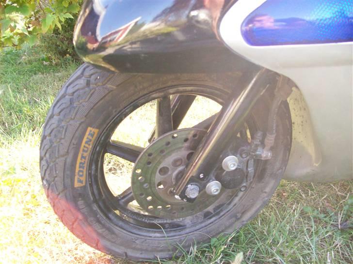 Honda Sfx (SOLGT) billede 6