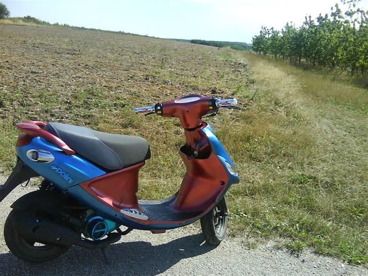 PGO GALAXY 50  billede 6