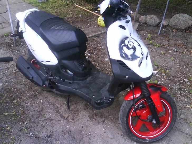 PGO PMX sport billede 1